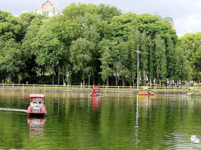 茂名：一座卫生之城、文明之城、幸福之城！ | 迎接市第十二次党代会系列报道⑦