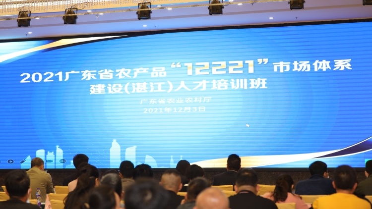 理论指导实践！12221培训来到策源地湛江