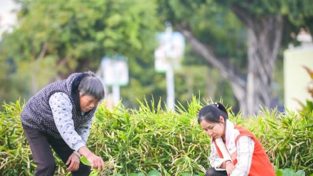 广州花都90后新农人罗燕妮：撒下社工助农的“金种子”