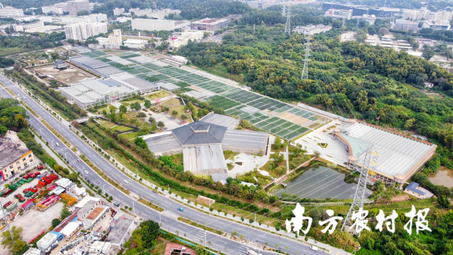 大会举办地之一，广东省农业技术推广中心总部的广东现代农业技术与装备示范基地。  南方农村报 蔡思宇 拍摄