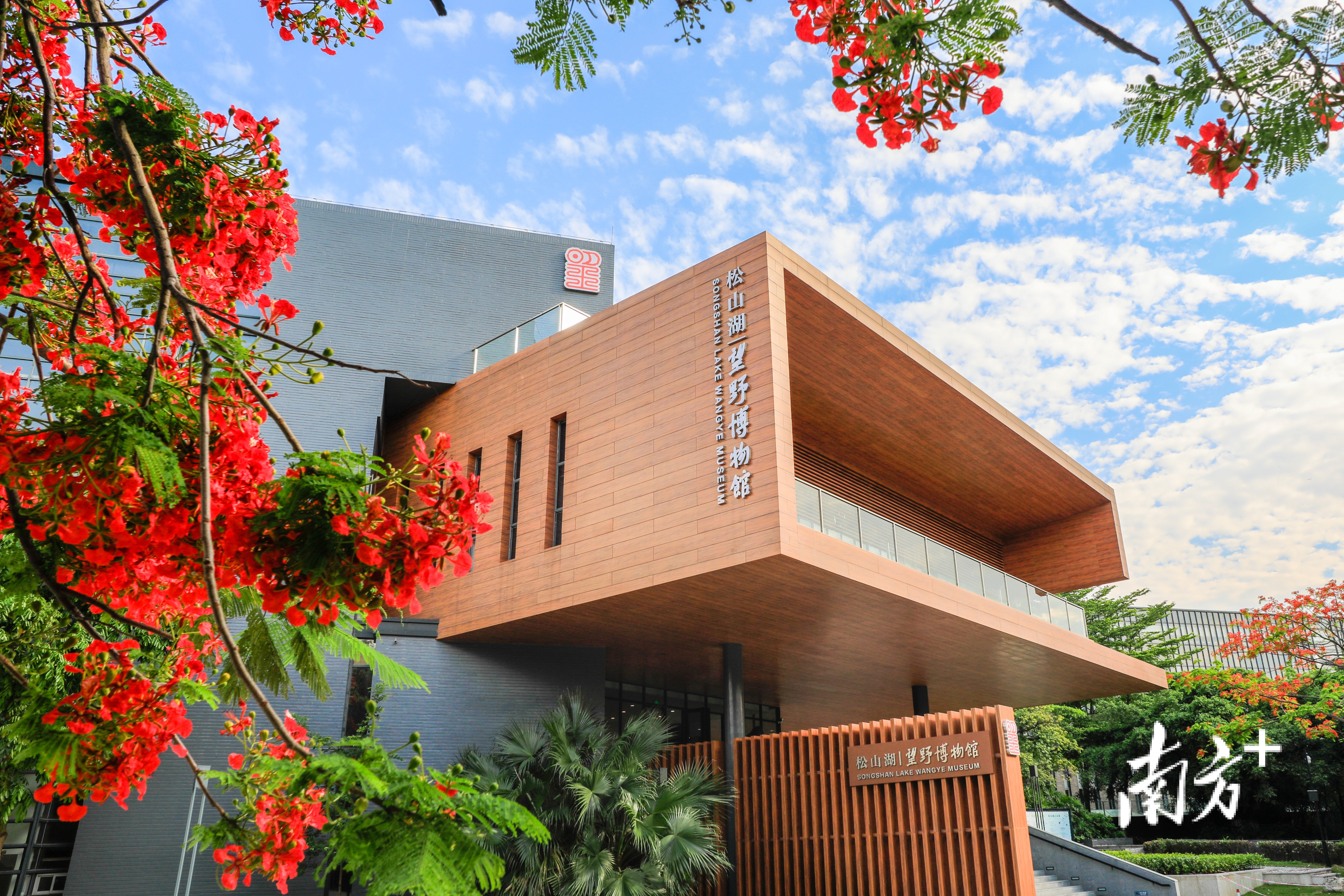 松山湖望野博物馆。 松山湖望野博物馆。