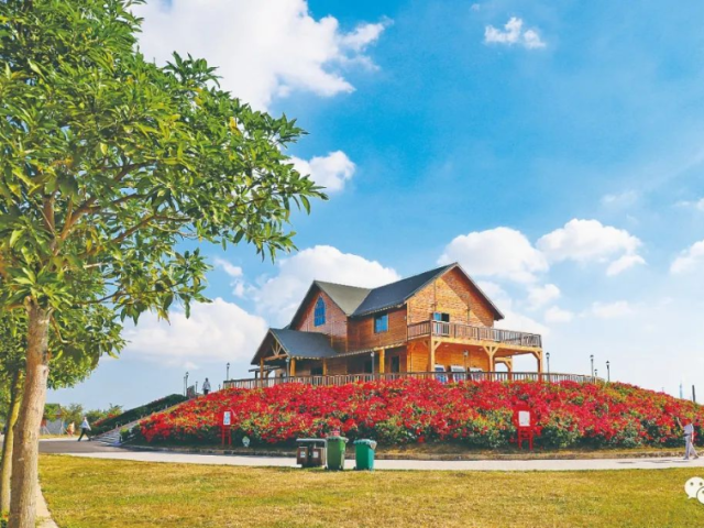 看，绿意满城！这是茂名人的幸福底色！ | 迎接市第十二次党代会系列报道⑧