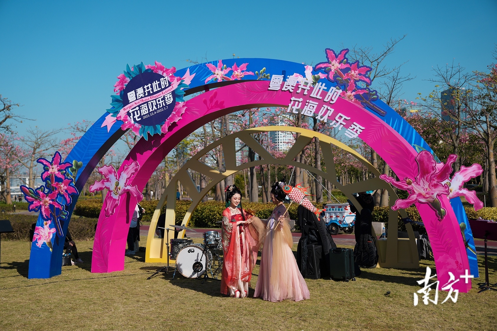 12月4日，珠海横琴花海长廊，樱花木棉次第绽放，“粤澳共此时，花海欢乐季”正式开锣。&nbsp; 南方拍客&nbsp;吖震 供图