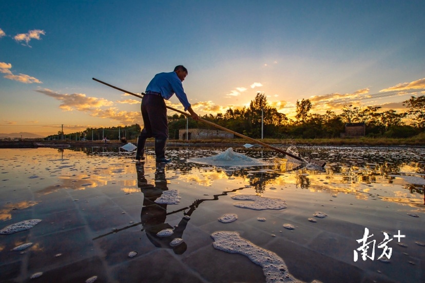 12月4日，阳江市沙扒镇，盐田里盐工迎着朝霞在收盐。&nbsp; 南方拍客&nbsp;刘正亮 供图