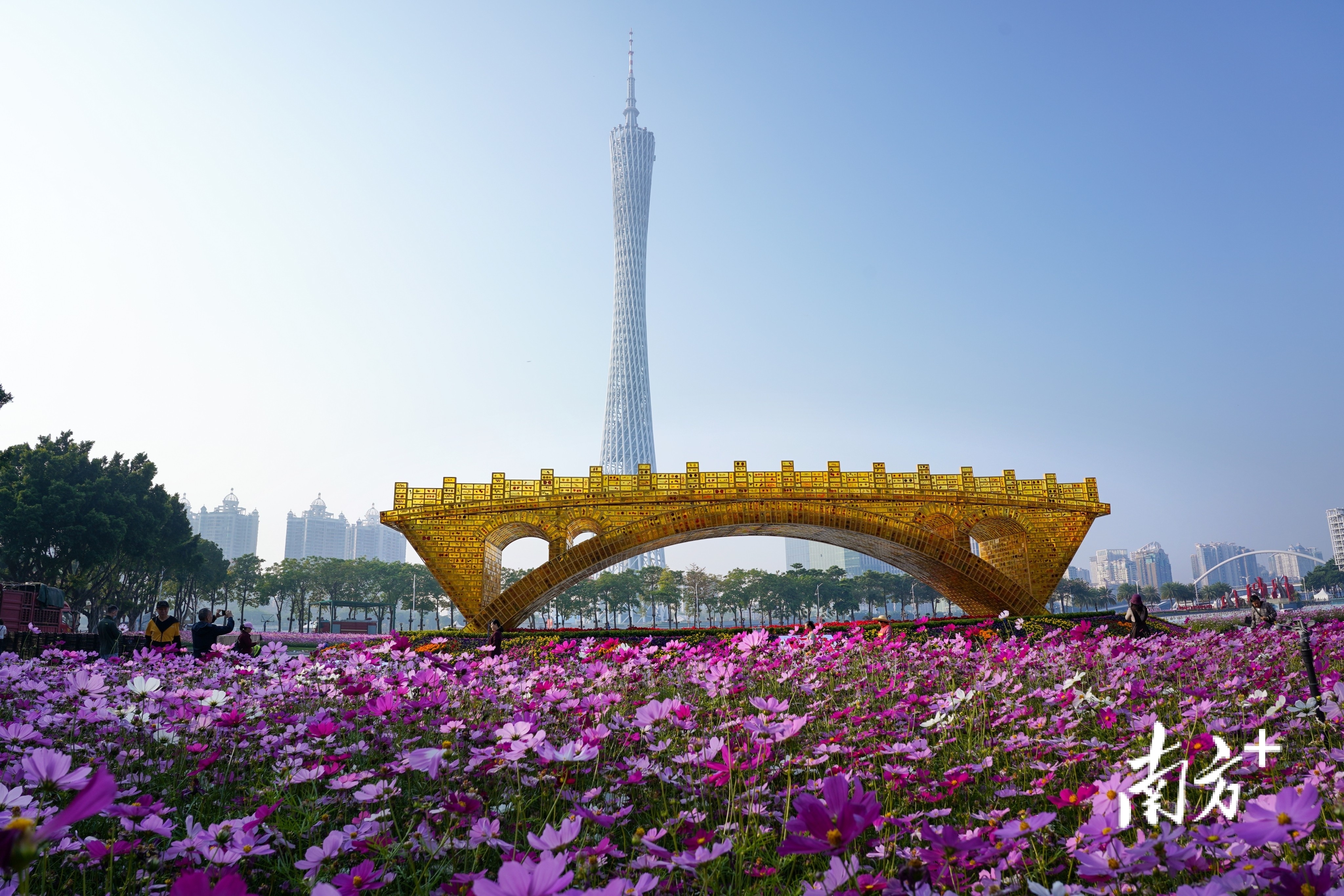 12月1日，广州海心沙公园迎来大型景观雕塑"丝路金桥"。南方拍客 7c拍影 供图。