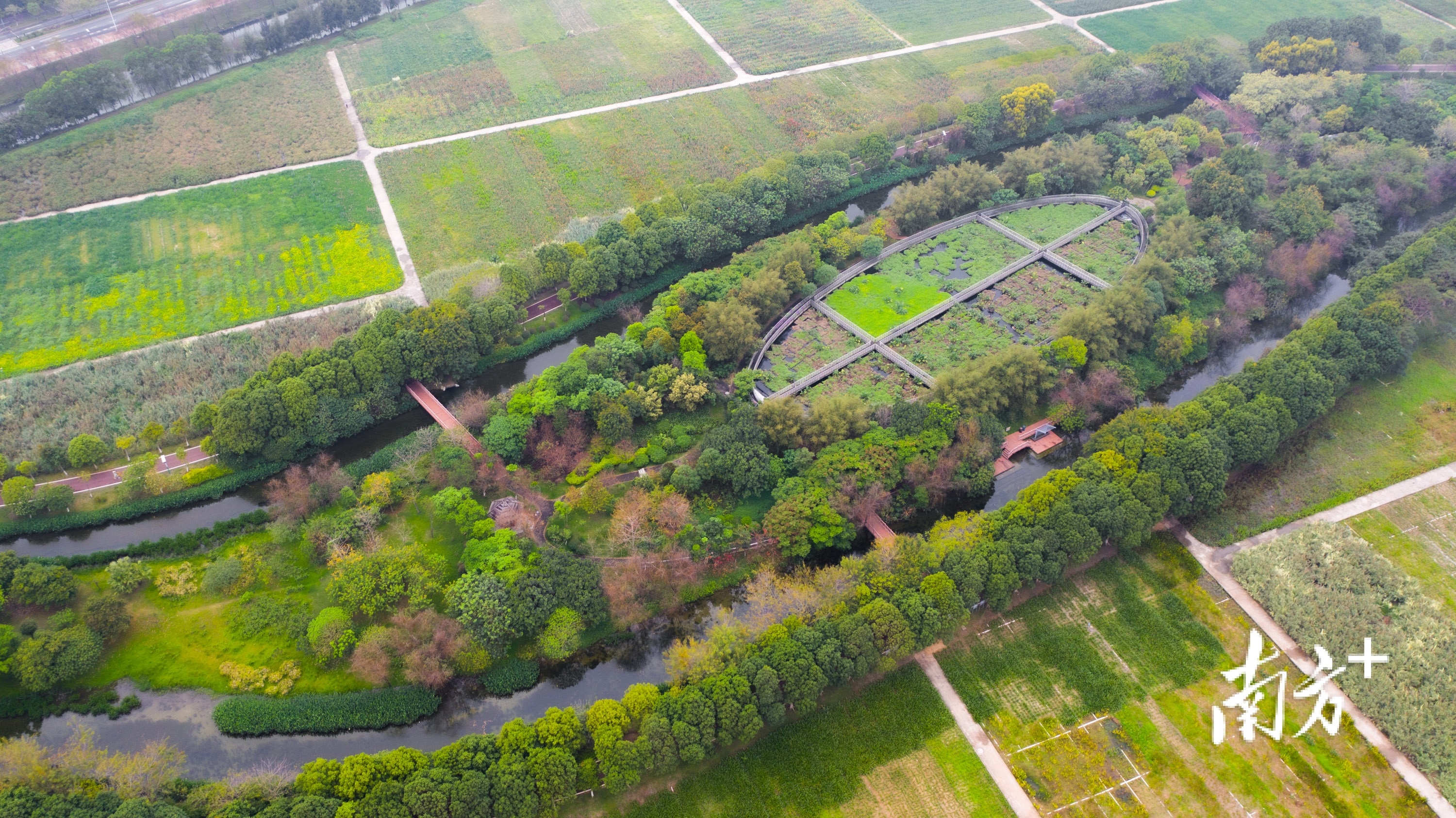 松山湖生态园燕岭湿地治水工程。 松山湖生态园燕岭湿地治水工程。