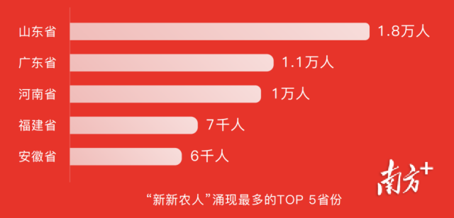 广东省的“新新农人”数量超1.1万人，位居前三。