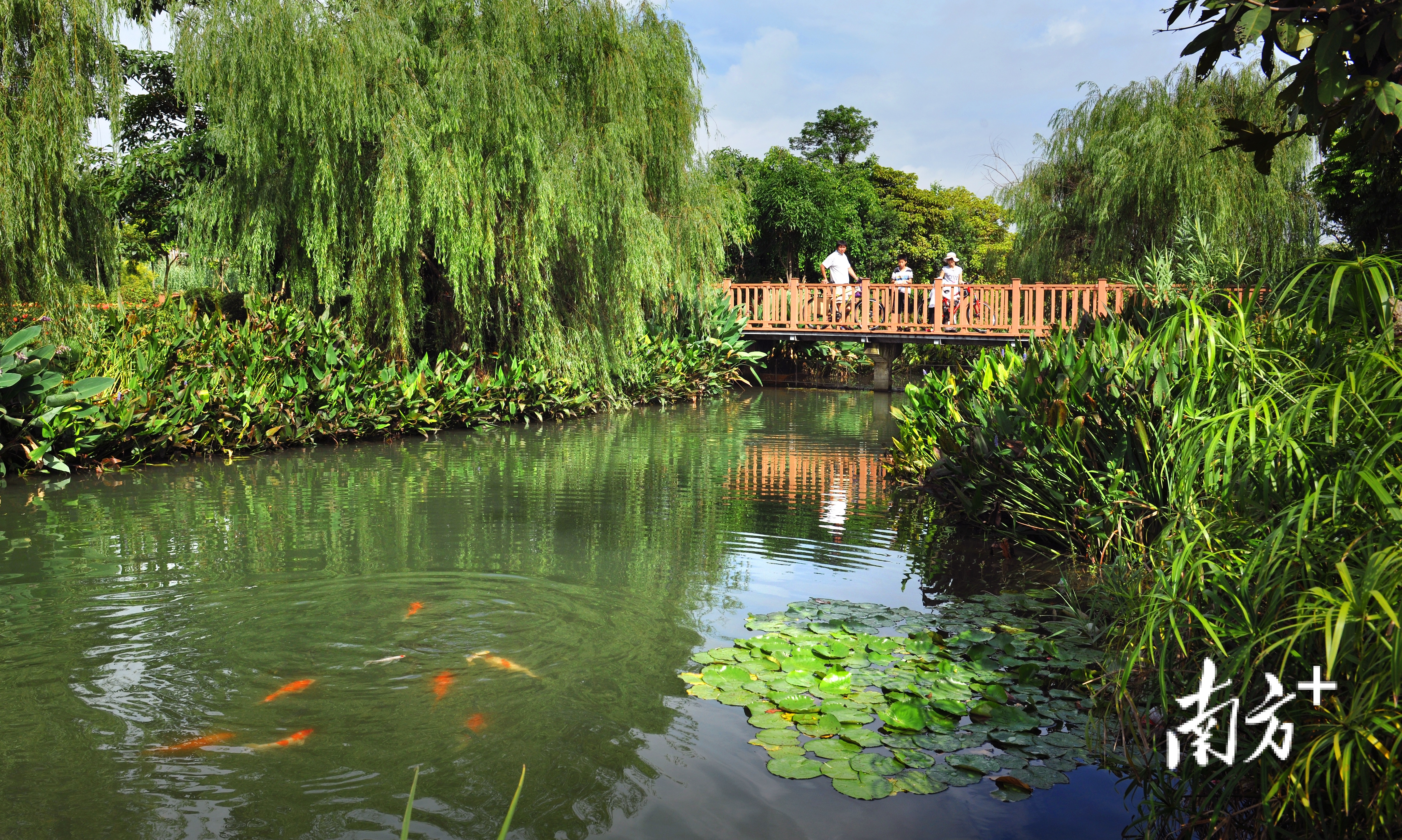 东莞生态园。 东莞生态园。