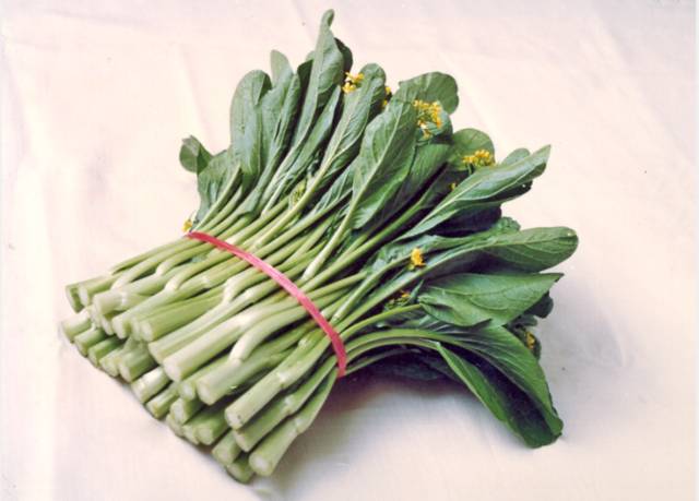 四九菜心-19号（粤审菜1982009） 