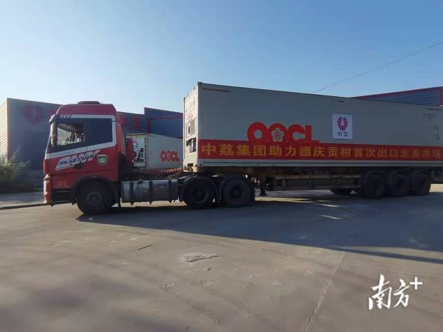 德庆贡柑出口北美发车仪式