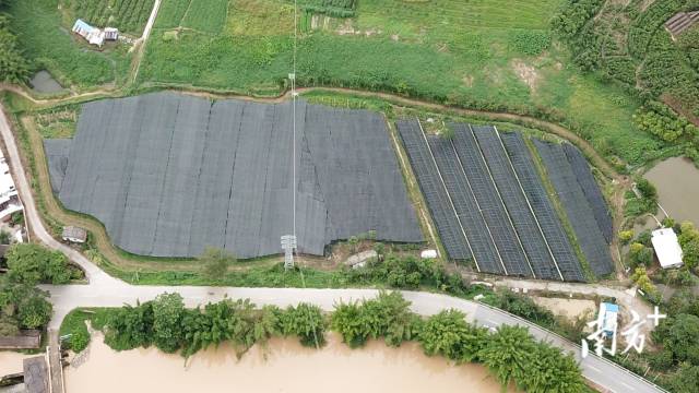 肇庆市高要区潮兴佛手种植专业合作社 