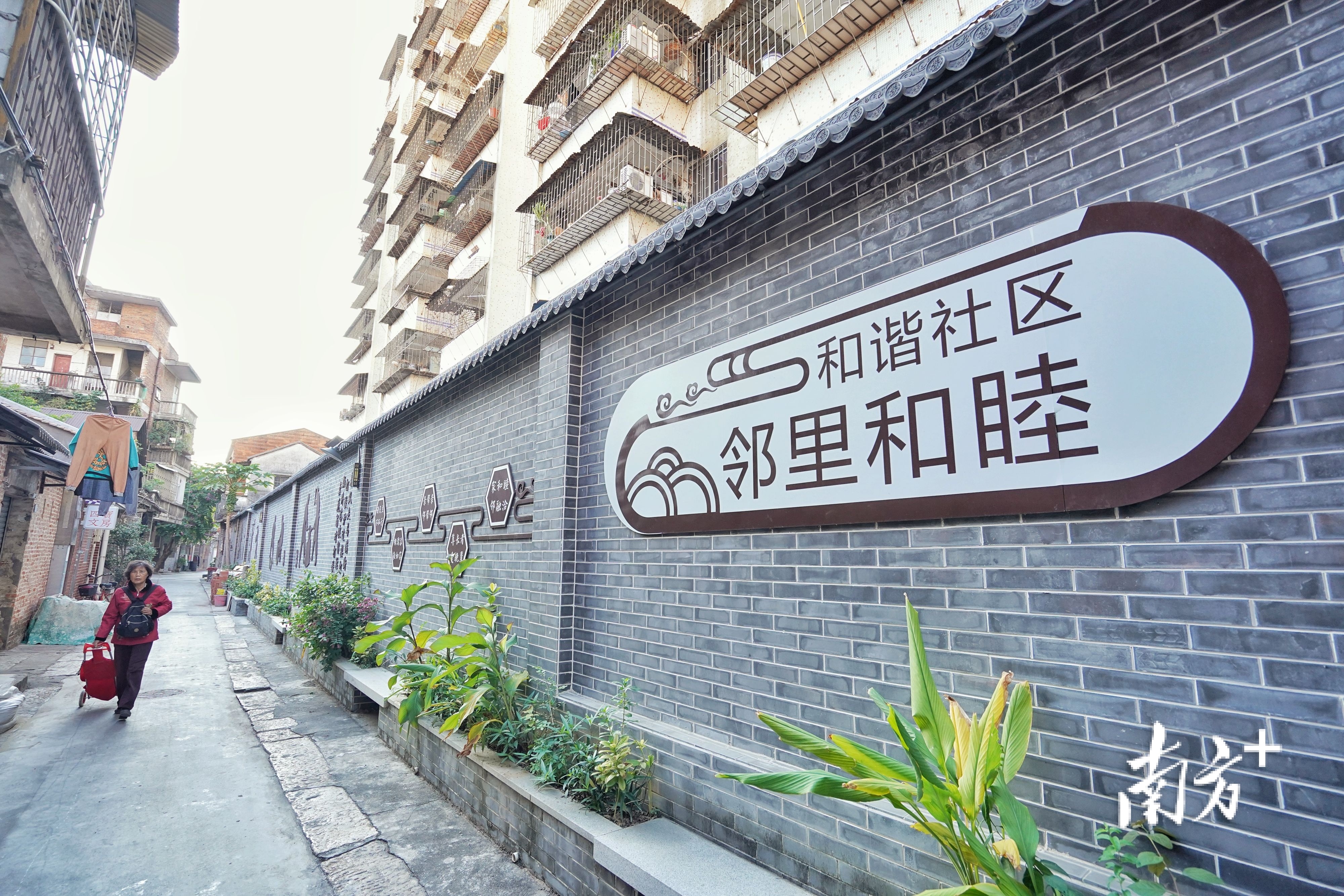 打造创业乐园,延续历史文脉,祖庙街道精准推进旧改