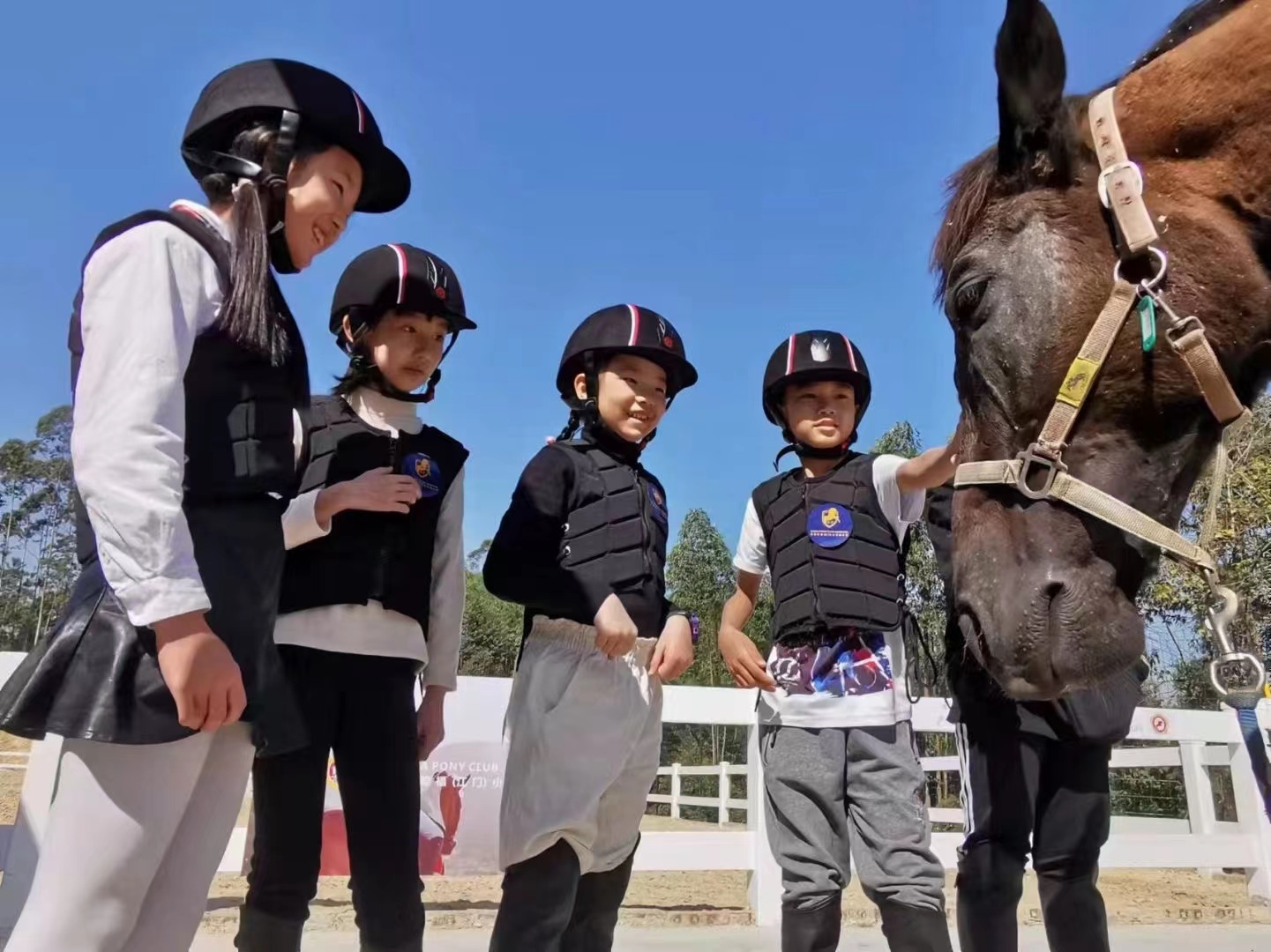 宝莉励福(江门)小马俱乐部。