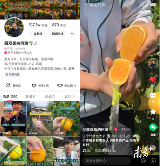 95后打工仔为水果产地带货