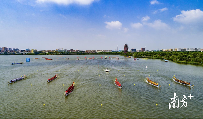 东江龙舟竞渡 东江龙舟竞渡