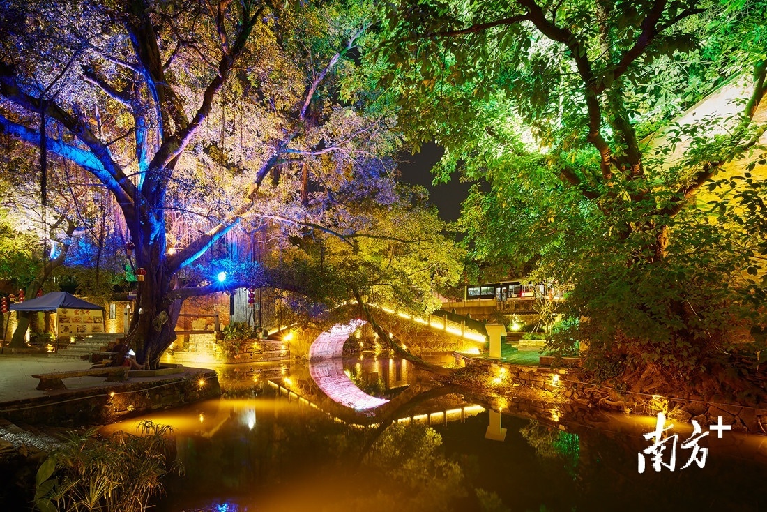 逢简水乡夜景 逢简村供图