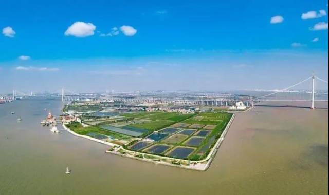 图片来源：广州番禺发布