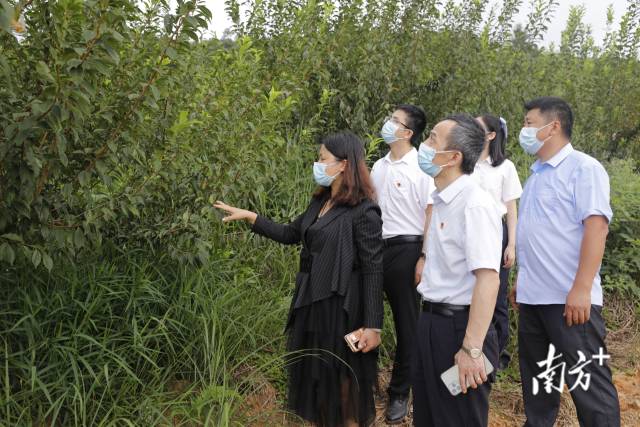 邮储银行韶关市分行工作队伍，走访韶关泰永鑫旅游开发有限公司。受访者供图