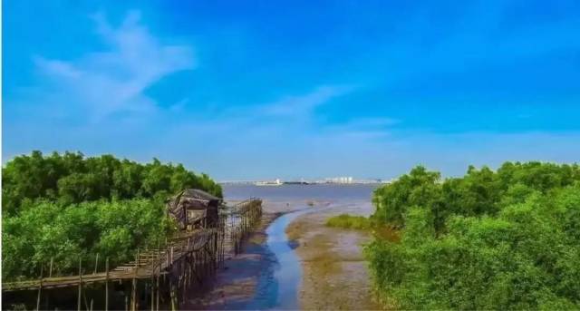 图片来源：广州番禺发布 