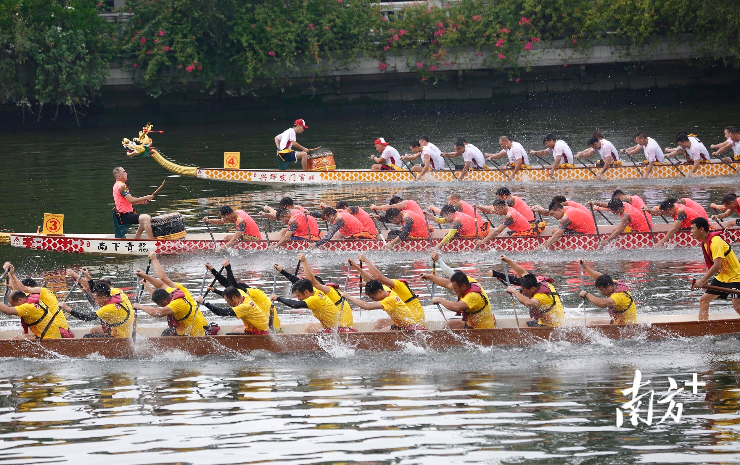 赛龙舟 南方+ 卢子衡 拍摄