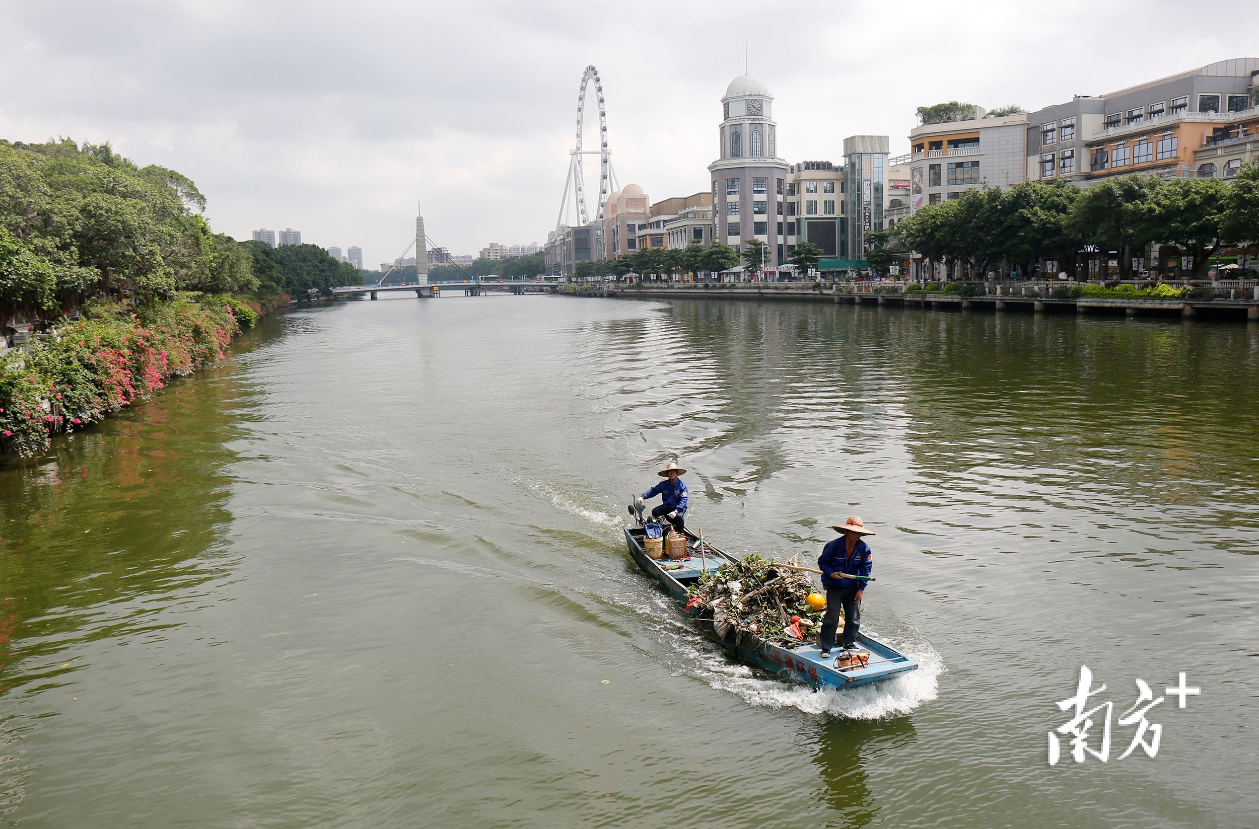 赛龙舟 南方+ 卢子衡 拍摄