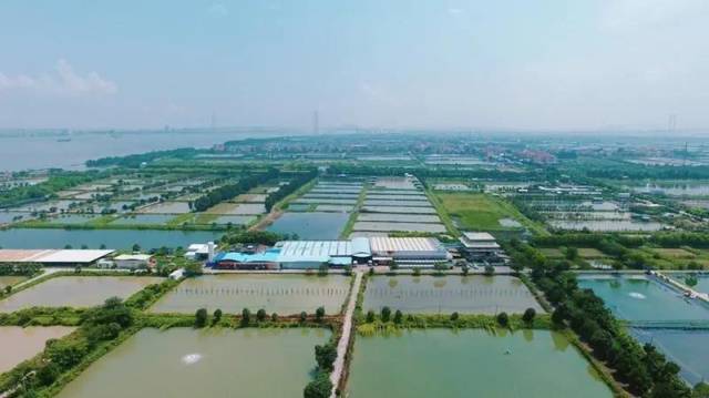 图片来源：广州番禺发布