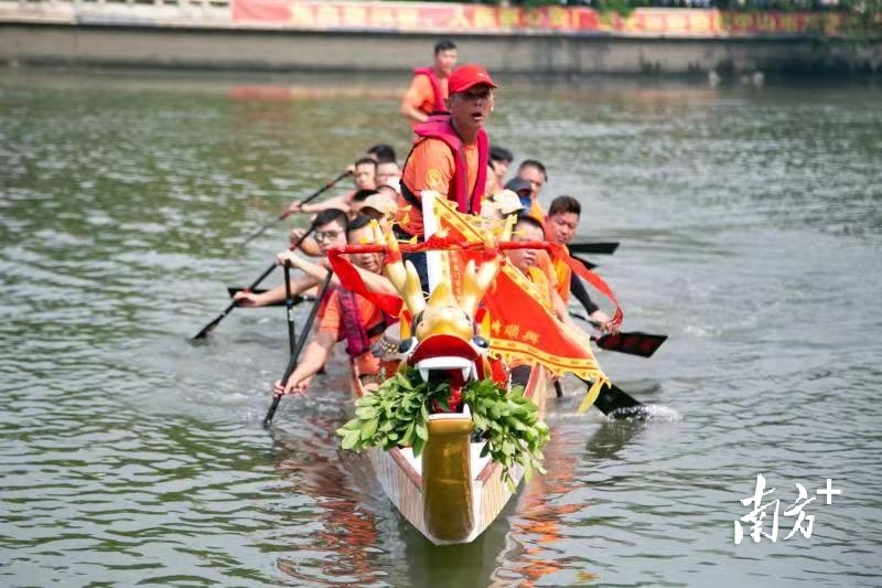 赛龙舟 南方+ 卢子衡 拍摄