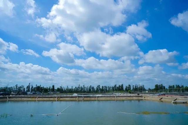 图片来源：广州番禺发布