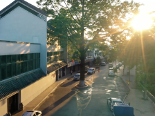 图集｜漫步岭南水乡，品尝顺德美食