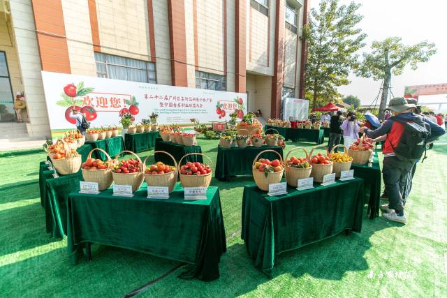 南方农村报 谢进杨 拍摄