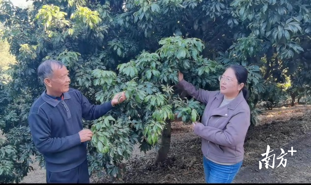 栽培技术现场指导