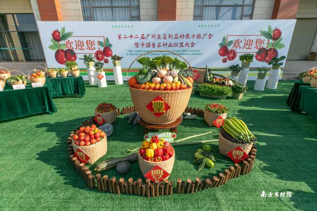 南方农村报 谢进杨 拍摄