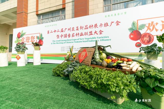 南方农村报 谢进杨 拍摄