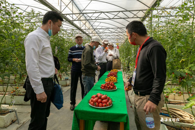 南方农村报 谢进杨 拍摄