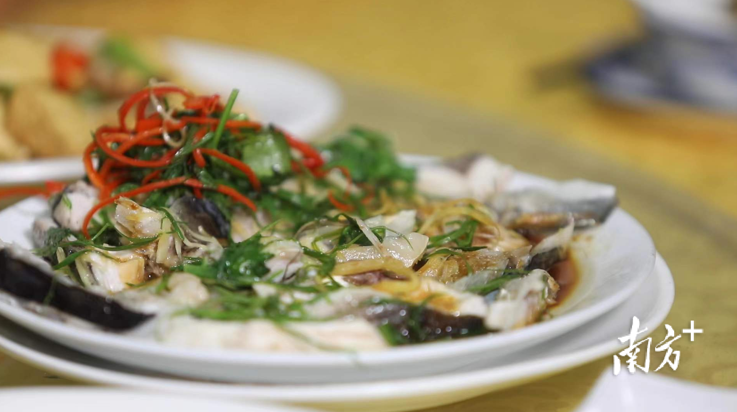 汤溪水库每年可产近10吨胖头鱼，带动附近餐饮业发展。