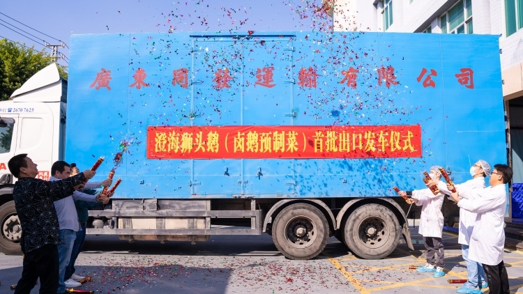 发车！澄海狮头鹅首次出口销往香港，实现出口零突破