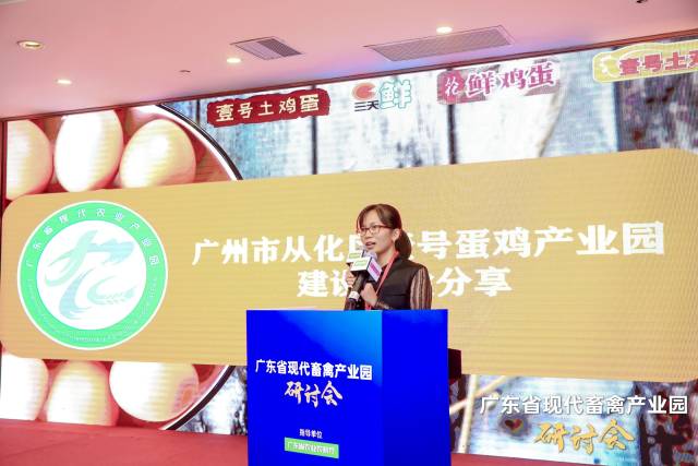 广东壹号食品股份有限公司项目发展部总监罗艳凤介绍广州市从化区壹号蛋鸡产业园