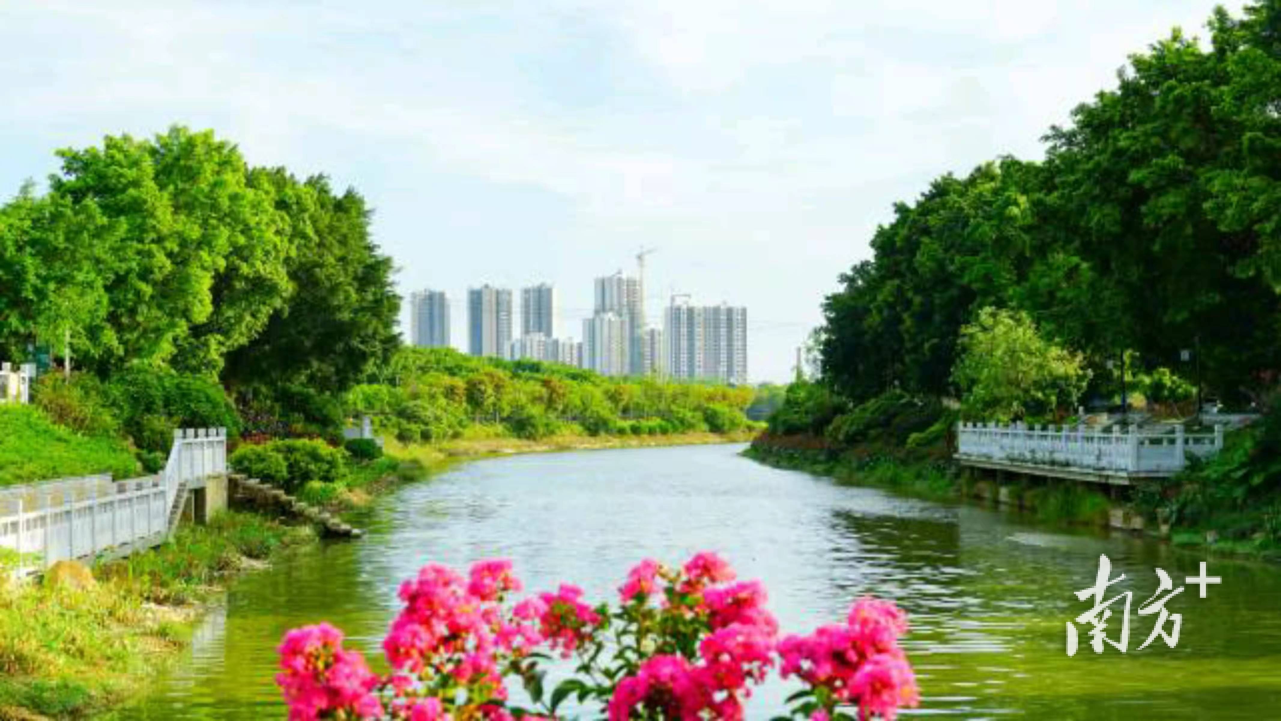 “多彩礼运”沿线风光。 “多彩礼运”沿线风光。