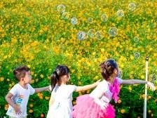 图集｜一览淼城乡村多彩风光