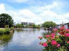 用脚丈量美丽乡村！广东十大美丽乡村考察组继续走访汕头四地