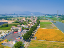 人大代表陈伟标：盘活土地，发掘新型农业人才实施规模化耕作｜三水两会