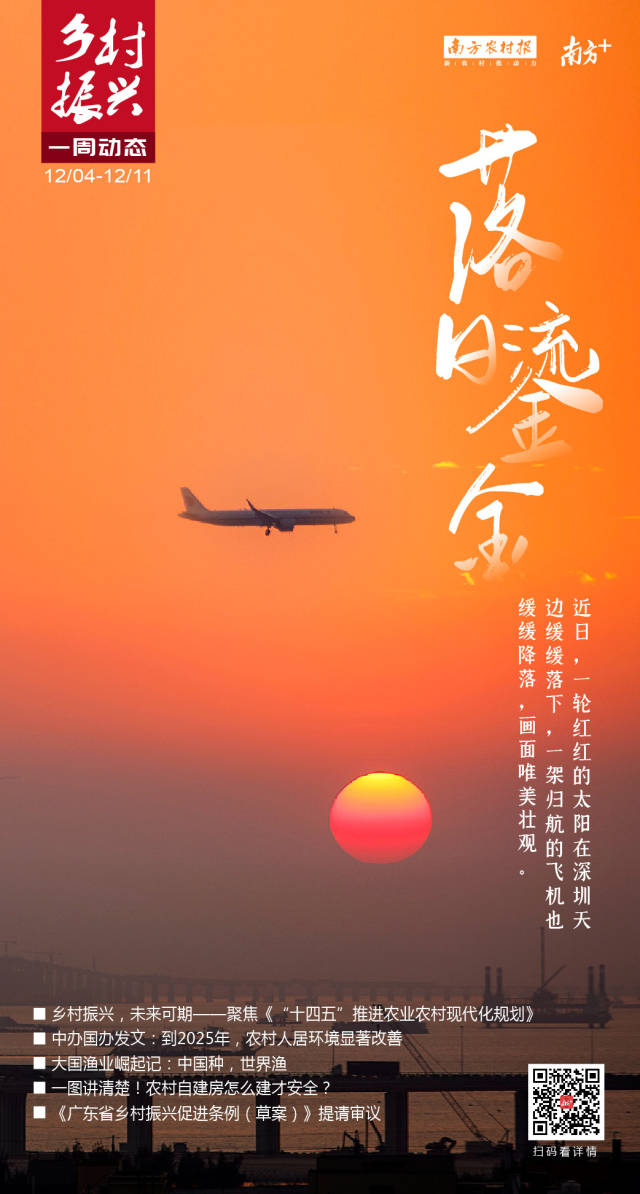 南方农村报 莫淑霞 制图