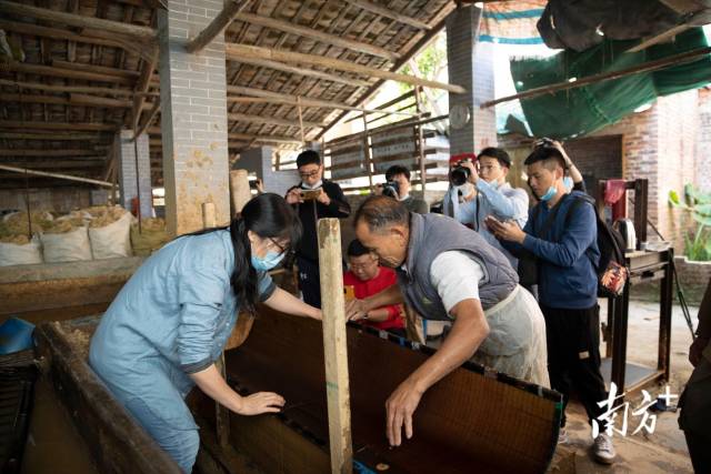 南方拍客在古邑碧道画廊采风。南方+ 董天健 拍摄