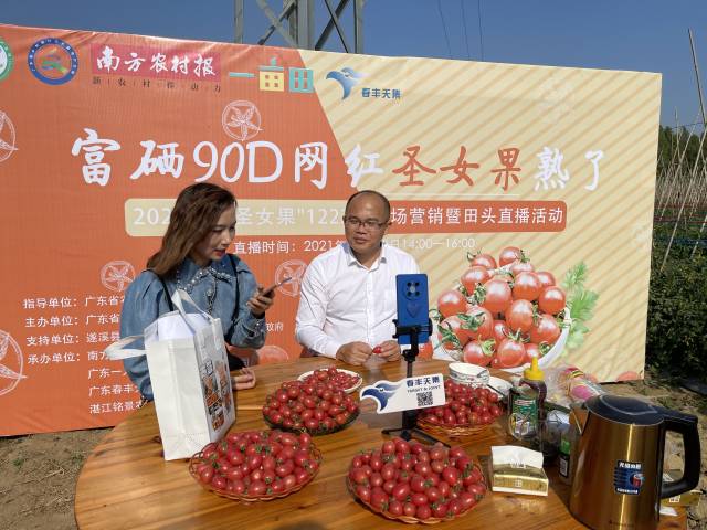 界炮镇镇长岑志东向网友推介圣女果。