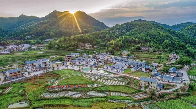 南方农村报 莫淑霞 制图