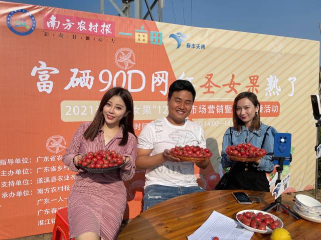 人气主播齐聚遂溪界炮圣女果基地进行田间直播。