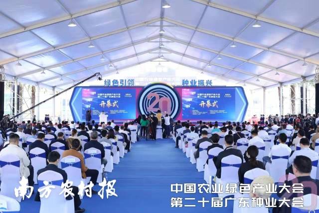 南方农村报 谢进扬 拍摄