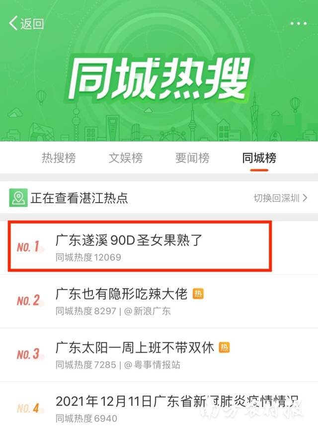 遂溪圣女果登顶微博同城热搜榜。  通讯员 南方农村报 供图