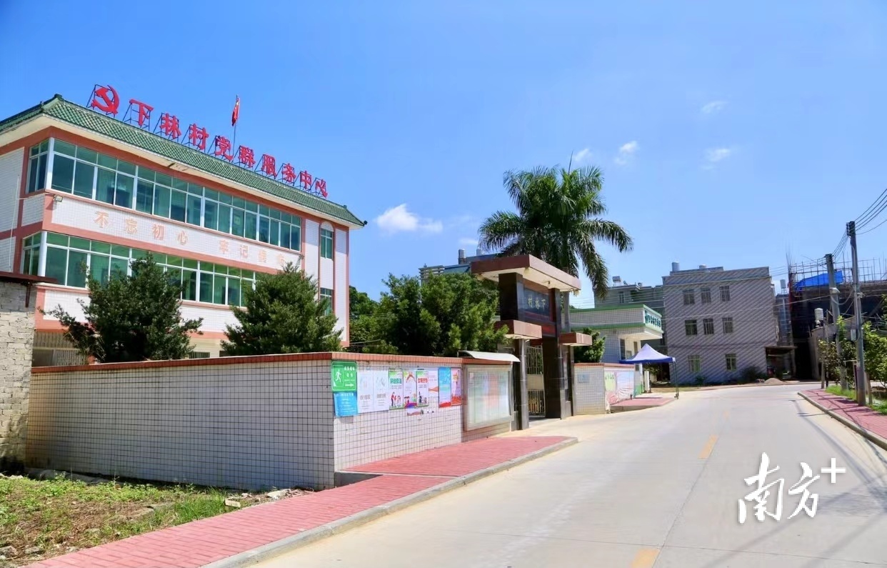 登塘镇下林村村居环境。&nbsp;