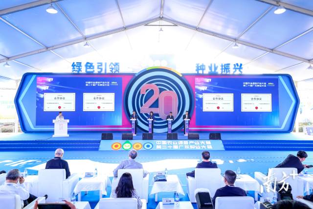 省农业技术推广中心主任林绿（右二）、广东种业集团董事长冯坚（右一）上台签约。 